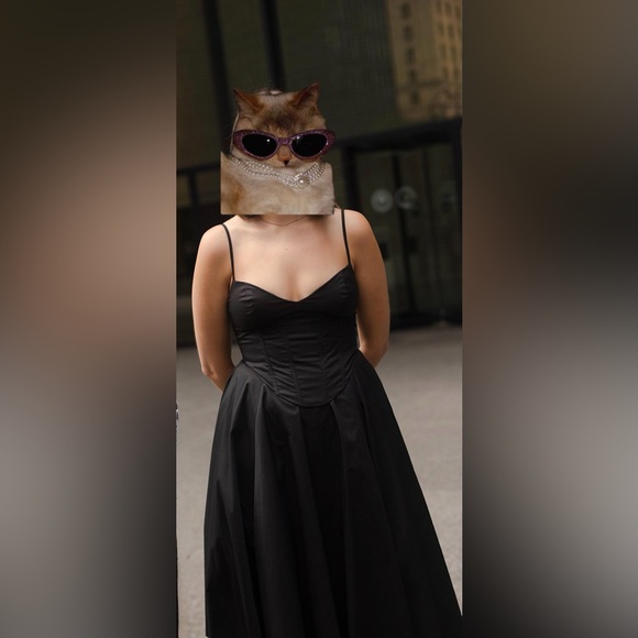 Black Drop Waist Midi Dress with Corset - Picture 2 of 8